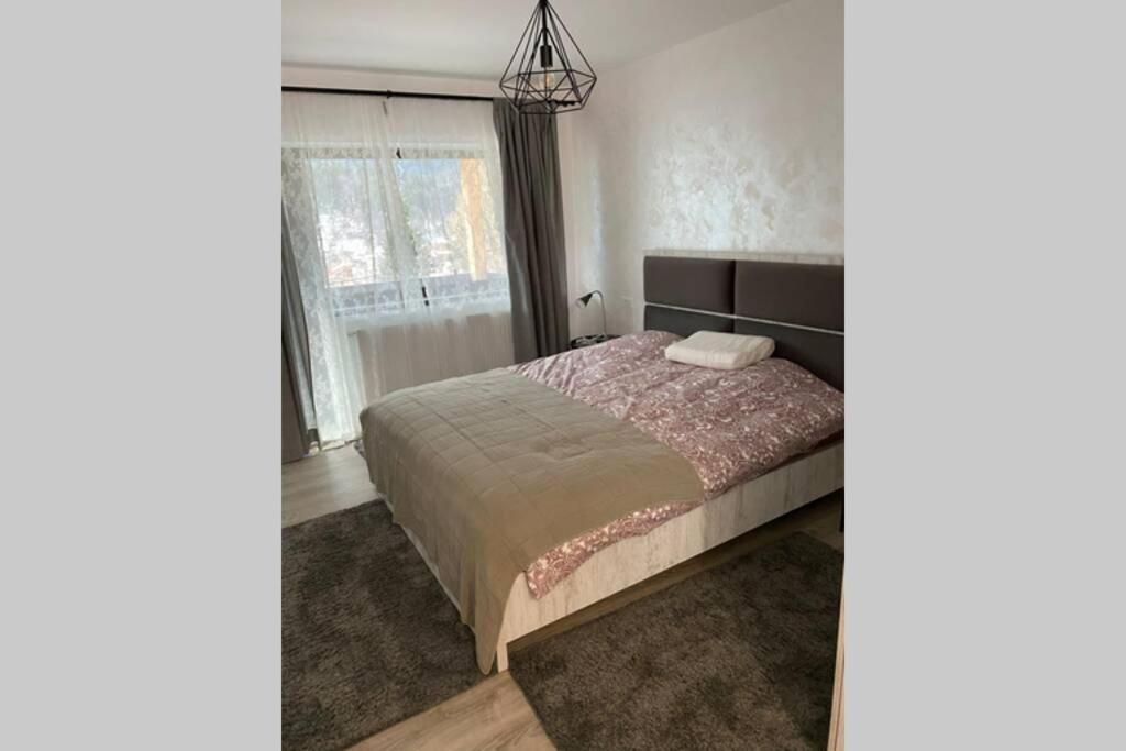 Casa Skadi, Zamora,Szászbuda Kültér fotó